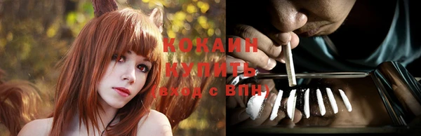 PSILOCYBIN Лагань