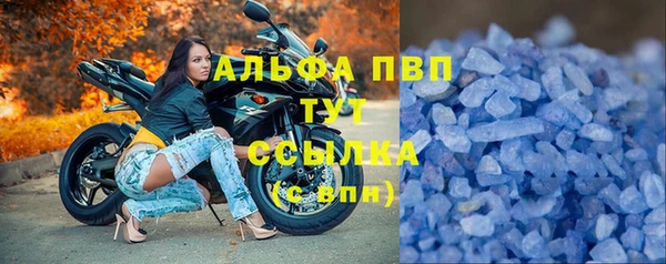 PSILOCYBIN Лагань