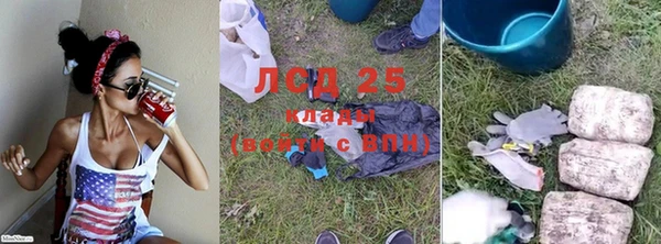 PSILOCYBIN Лагань